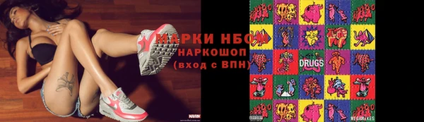 крисы Инта