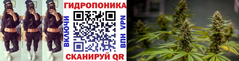 продажа наркотиков  Нижний Ломов  МАРИХУАНА ГИДРОПОН 